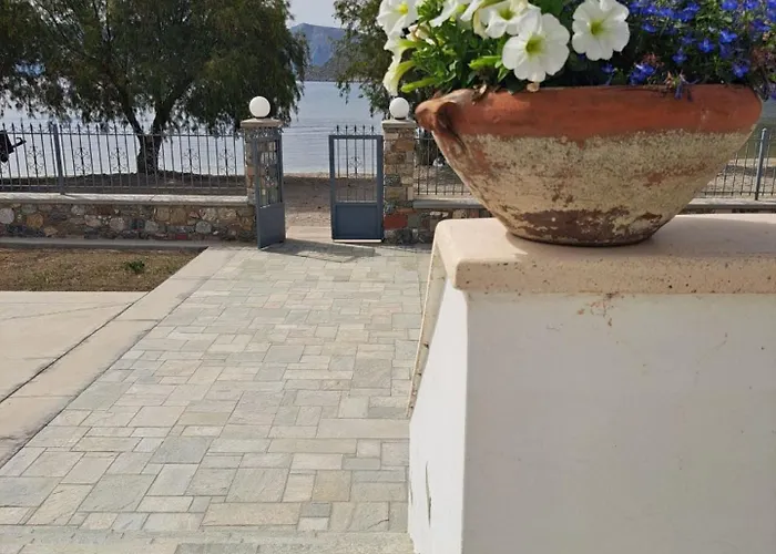 فيلة X Xirokampos Leros